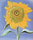 Georgia O'keeffe Famous Paintings - Sunflower, New Mexico 1935